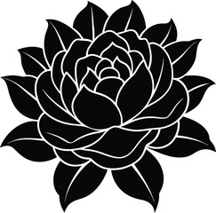 lotus flower vector illustration