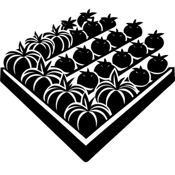 black tomatoes garden bed clip art preview
