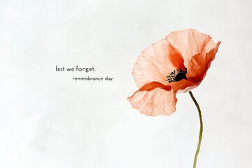 watercolor poppy flower on white background with text "lest we forget. remembrance day", Anzac Day