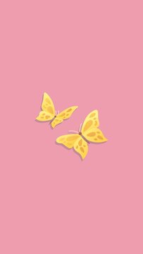 butterfly on a pink background