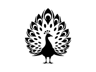 
Peacock bird silhouette with spread feathers vector illustration


