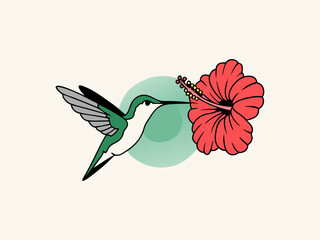 
Hummingbird drinking nectar from a hibiscus flower
