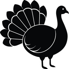 turkey vector illustration