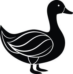 duck vector illustration