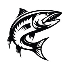 Barracuda Fish Jumping Aggressively with Sharp Teeth, Fins. Monochrome