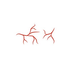 illustration of human blood vessels