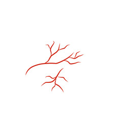 illustration of human blood vessels