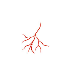 illustration of human blood vessels