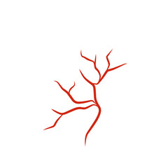 illustration of human blood vessels