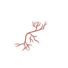 illustration of human blood vessels