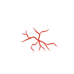 illustration of human blood vessels