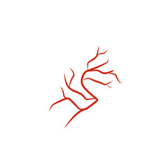illustration of human blood vessels