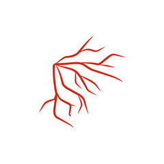 illustration of human blood vessels