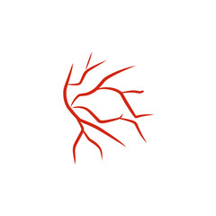 illustration of human blood vessels