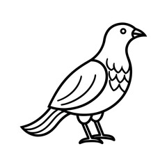 Outline of a Gernet Bird