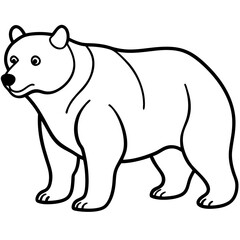 Minimalist Bear Line Art Vector