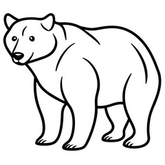 Minimalist Bear Line Art Vector