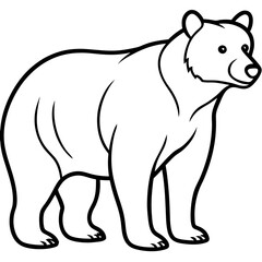 Minimalist Bear Line Art Vector