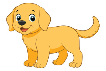 Illustration of Cute baby Golden Retrieve on white.
