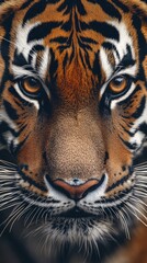 An ultra-close-up macro shot of a Bengal tiger's face, capturing its piercing amber eyes, powerful striped fur pattern
