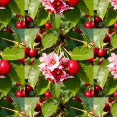 red cherries on a tree