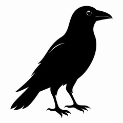 Minimalist Crow Silhouette Vector