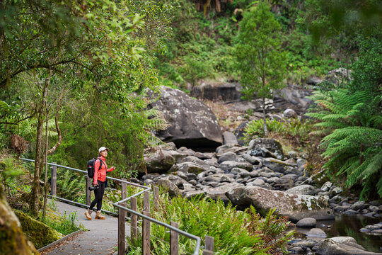 Woman hiker in the mountains along the river, Stevensons Falls Walk, Colac Otway, Victoria, Australia