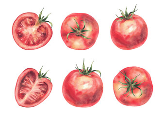 Red tomatoes vegetables watercolor set. Illustration isolated on white.Whole and half sliced ripe fruit with stalk. Hand drawn sketch in realistic style. Natural clipart. Farm plats for vegetarians
