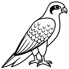 Minimalist Falcon Line Art Vector