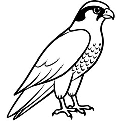 Minimalist Falcon Line Art Vector
