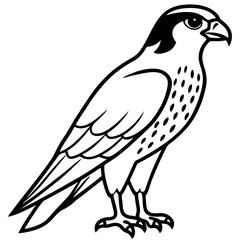 Minimalist Falcon Line Art Vector
