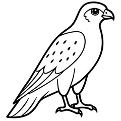 Minimalist Falcon Line Art Vector