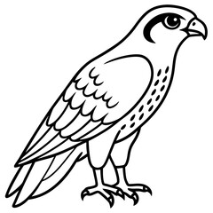 Minimalist Falcon Line Art Vector