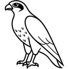 Minimalist Falcon Line Art Vector