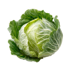 Obraz premium green cabbage isolated on white 