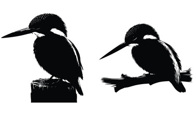 Fototapeta premium Kingfisher silhouette vector 