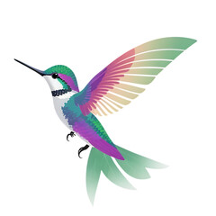 Obraz premium beautiful birds