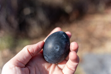 Black egg or kuro-tamago boiled at Owakudani, Hakone, Japan