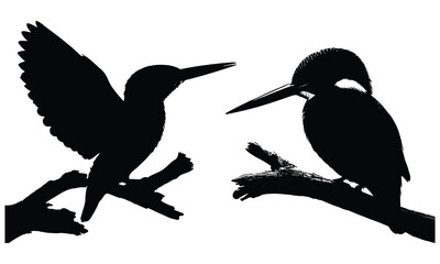 Kingfisher silhouette vector 
