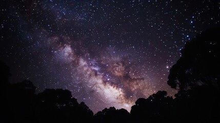 Milky Way Galaxy: Night Sky Serenity Over Silhouetted Trees