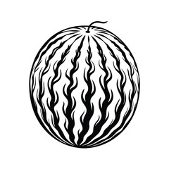 Black and White of a Whole Watermelon with Stem and Distinctive Rind Pattern