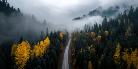 Aerial view of a winding road through a foggy forest with yellow autumn trees, showcasing tranquility and the beauty of nature's seasonal change