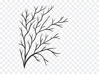Bare tree branch silhouette vector on transparent background. Ideal for winter themes, minimalist designs, or spooky seasonal artwork. Clean, editable graphic element for creative projects.