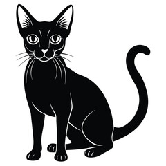 abyssinian vector animal