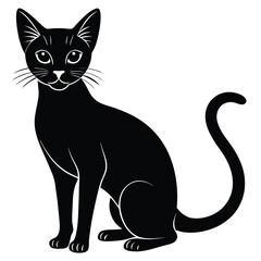 abyssinian vector animal