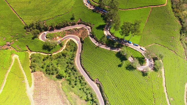 Munnar Road With Cars Moving View From Drone drone footage