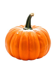 A single, vibrant orange pumpkin isolated on a clean white background, showcasing its natural texture and shape—perfect for autumn, Halloween, or harvest-themed designs.

