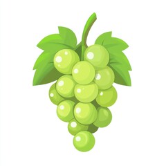 Isolated green grapes illustration