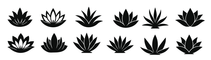 black silhouettes of lotus and agave plants