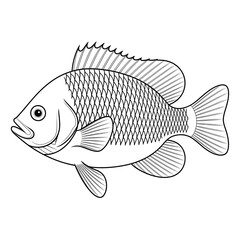 ‎A black and white fish illustration line art of a coloring page
